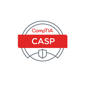 CompTIA CASP+ 004 Flashcards