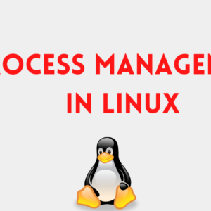 Monitoring and Managing Linux Processes